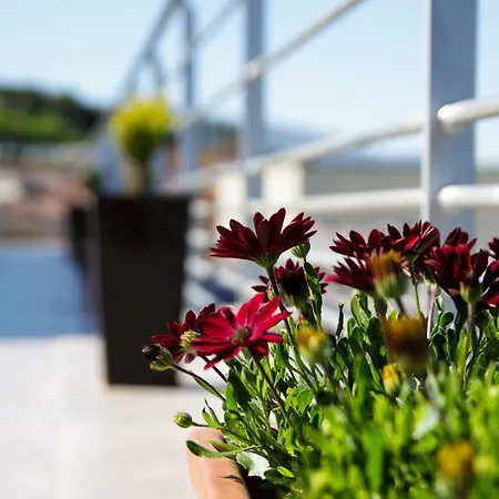 Casas Do Picoto Apartman Chaves