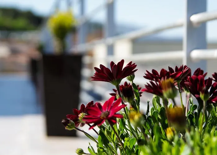 Casas Do Picoto 아파트 샤베스